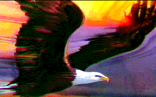 eagle2.gif